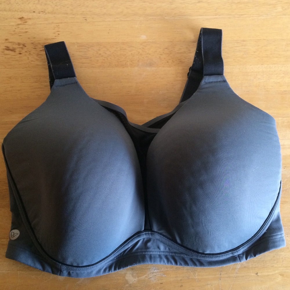 Lane Bryant/ Livi Active sports bra.